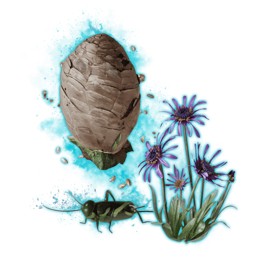 Oddities Collection Support